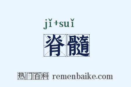 脊髓是什么意思的图片